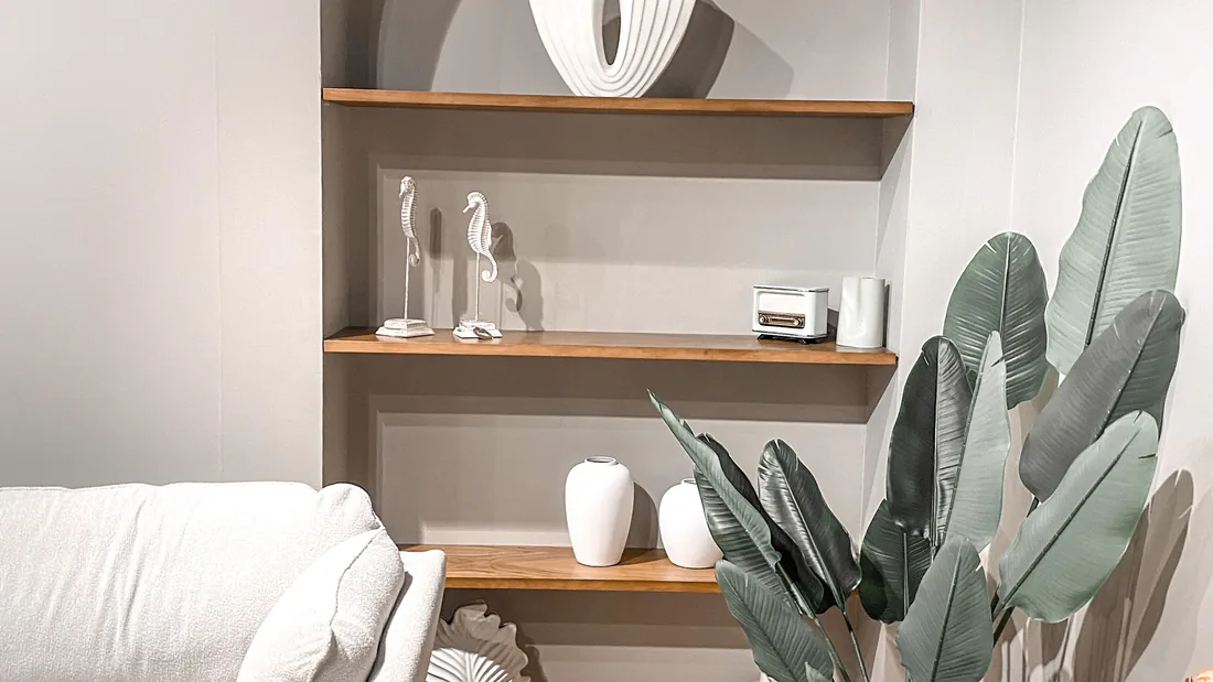 Objects arranged on three wooden shelves beside a pale sofa and a tall leafed plant.